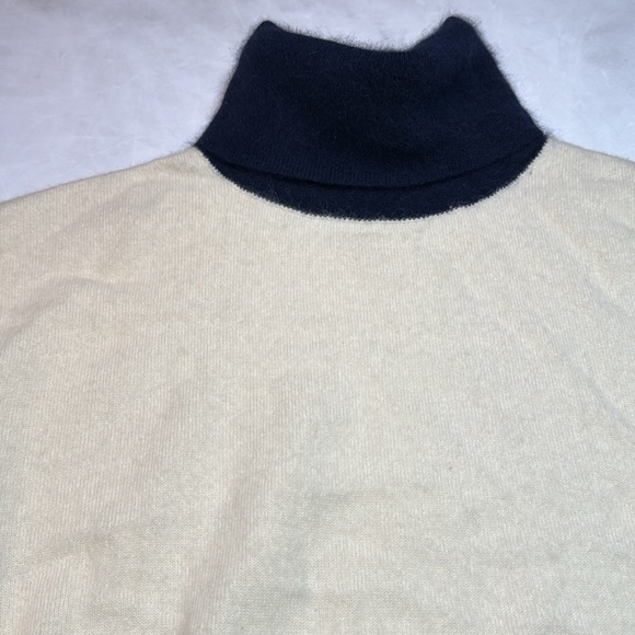 Demylee Colorblock Turtleneck Sweater - Picture 2 of 5